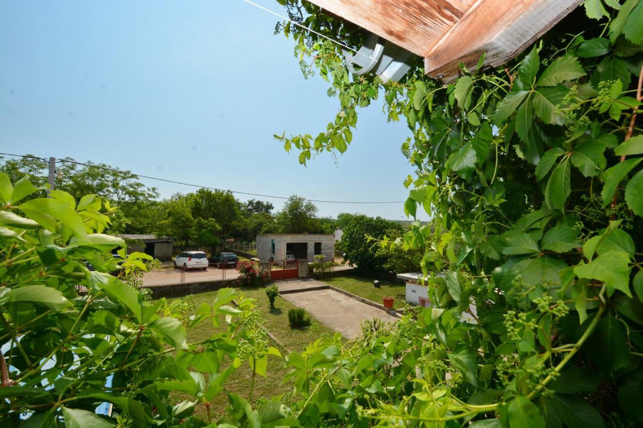 Sikovo Apartmani Maca מראה חיצוני תמונה