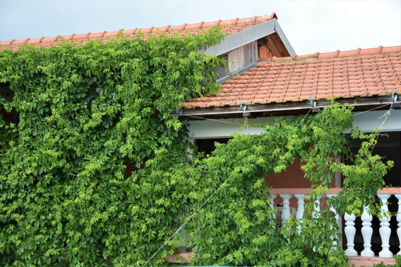 Sikovo Apartmani Maca מראה חיצוני תמונה